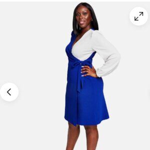 Kasper Plus Colorblock Surplice Side-Tie Jersey Dress size XXL